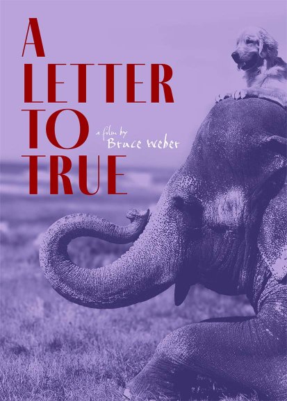 A Letter to True