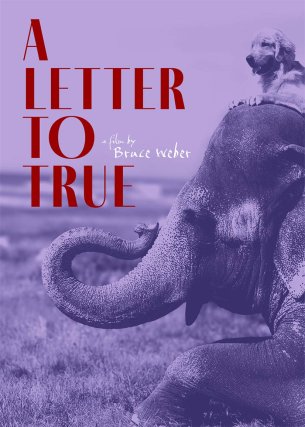 A Letter to True