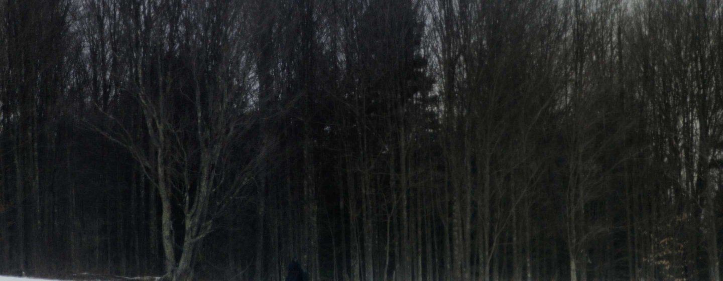The Harbinger