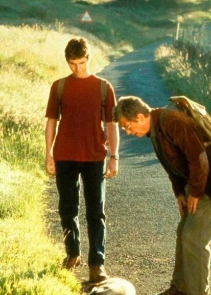 All the Little Animals