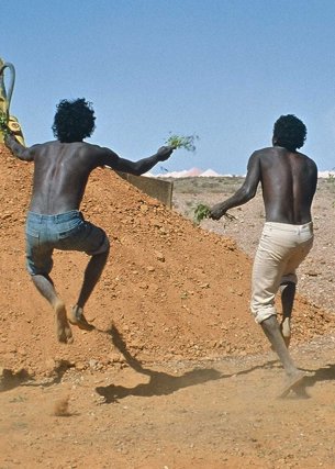 Where the Green Ants Dream