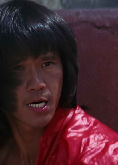 Challenge of the Tiger