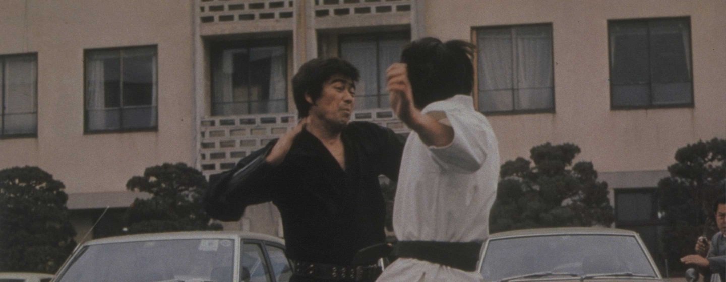 The Streetfighter’s Last Revenge