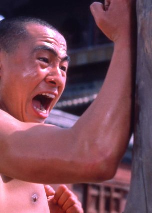 Disciples of Shaolin Temple