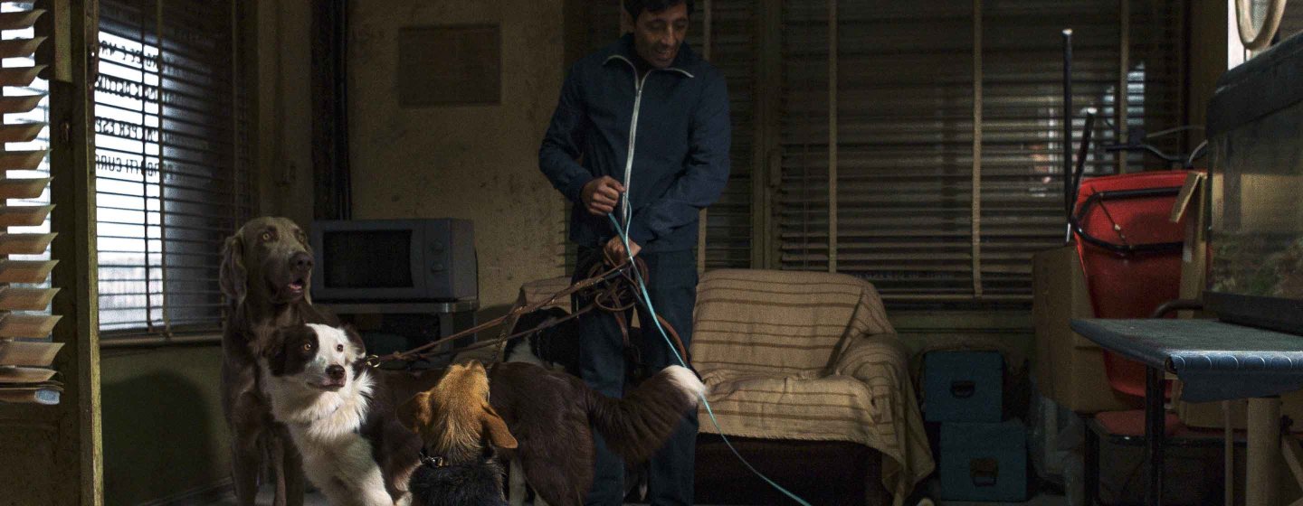 Dogman