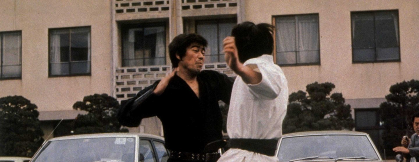 Return of the Street Fighter