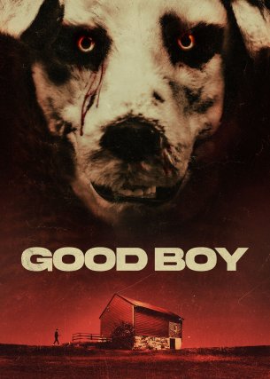 Good Boy