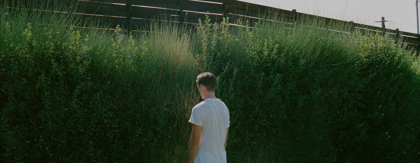 Dogtooth